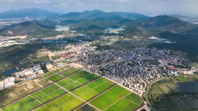 珠海斗门示范田