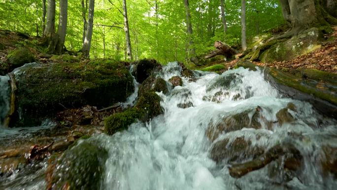 溪流在夏日的绿色森林中快速流动