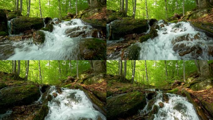 溪流在夏日的绿色森林中快速流动