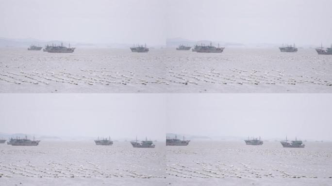 海岛 渔船 大海 牡蛎 生蚝养殖