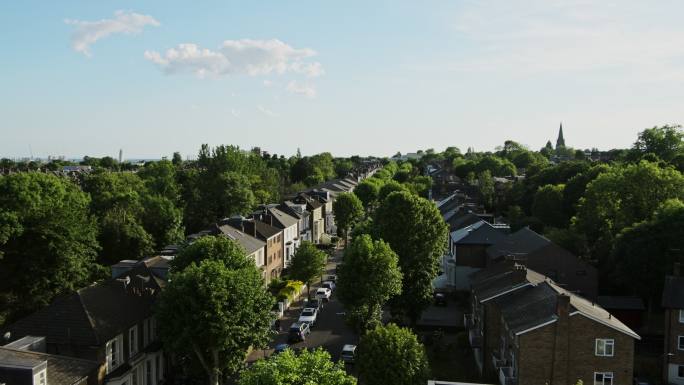 住宅房屋和绿树景观