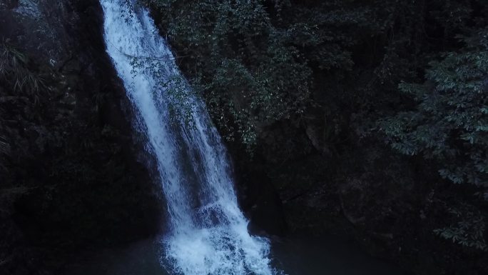 浙江绍兴诸暨市香榧林景区