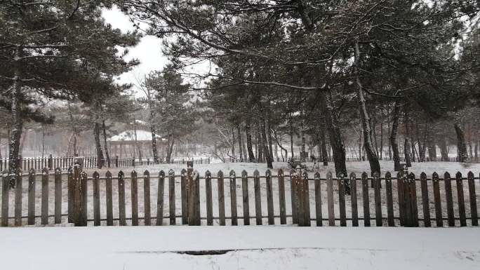 公园下雪场景