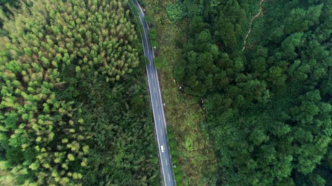 【4K】航拍乡村旅游公路