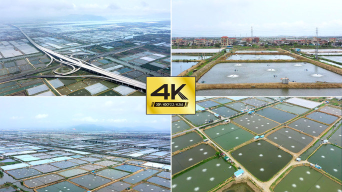【4K】大规模水产养殖