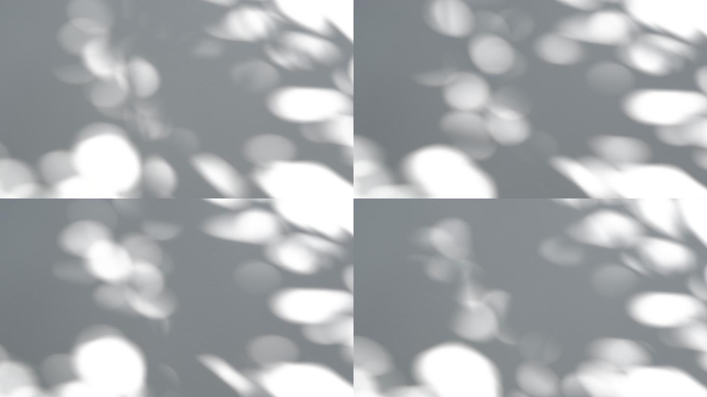 白色纹理背景光影斑驳树叶光影白墙影子