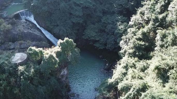 浙江绍兴诸暨市香榧林景区