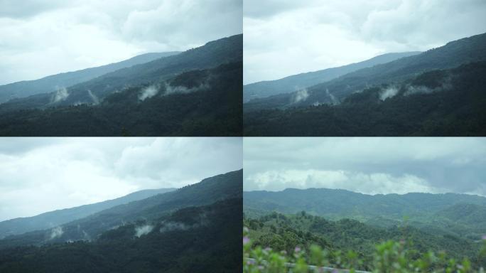 云南雨后山景原生态森林风光