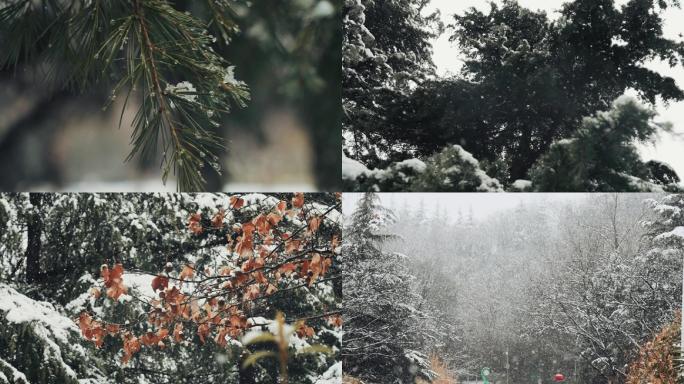 雪景升格高清素材