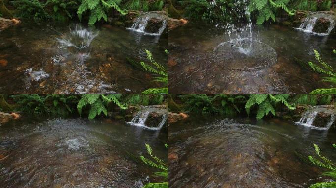 森林小溪中的小瀑布