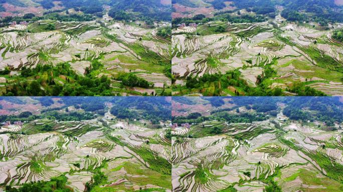 山 夕阳 云海 酉阳花田 山脉