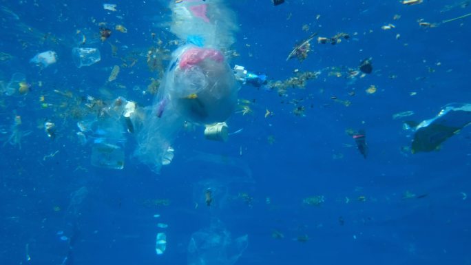 海洋的塑料污染。海洋污染水污染漂浮的污染