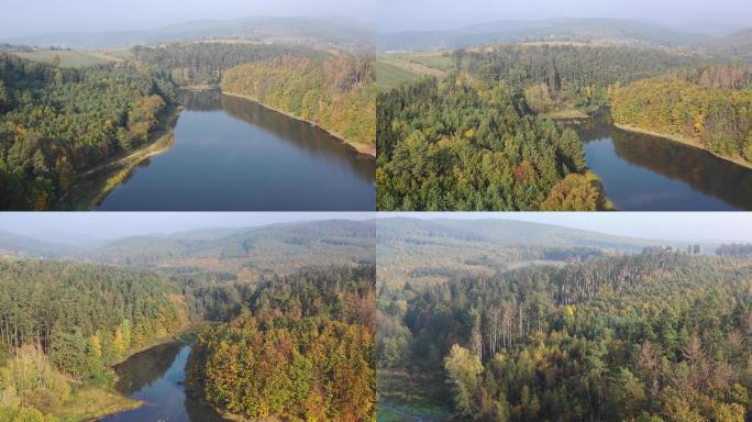 欧洲的小水坝大自然生态美景栖息森林树林
