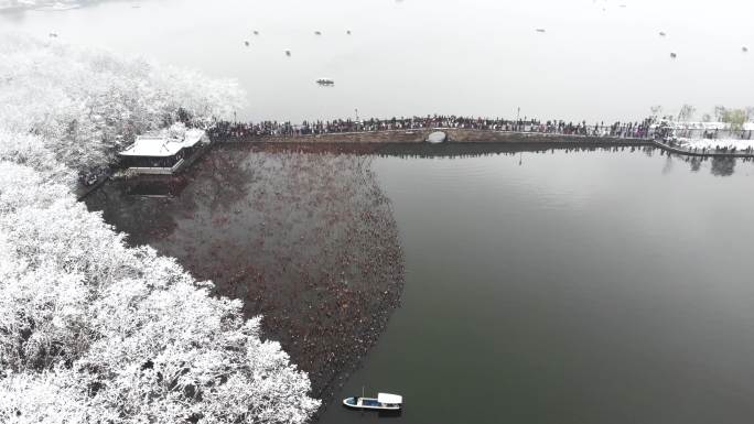 4K实拍杭州西湖下雪天风光风景航拍