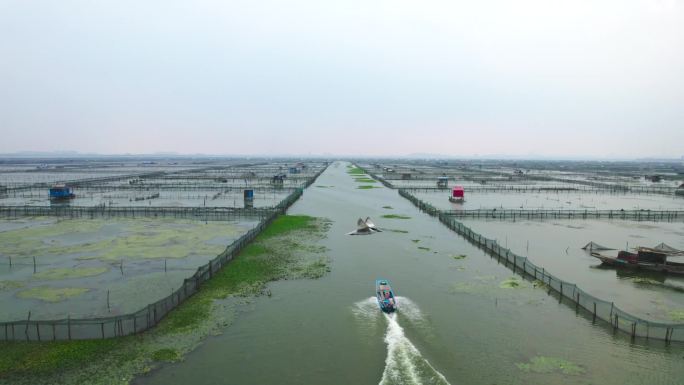 苏州阳澄湖蟹农出湖