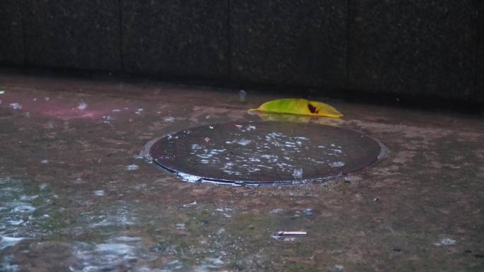 谷雨天春天落叶春意萌发雨景素材