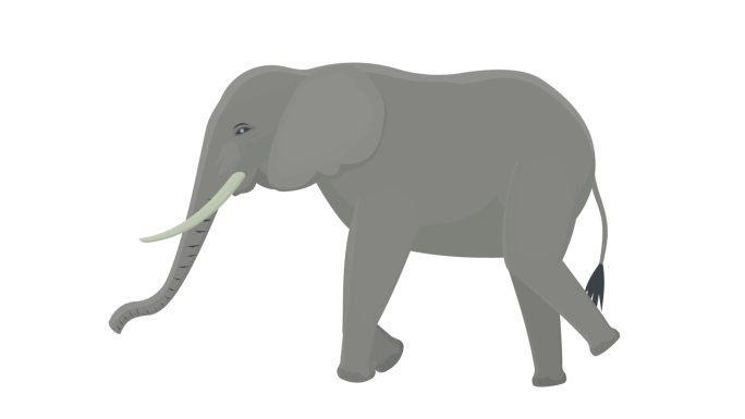 大象动物的动画儿童动画大象丛林动物大象