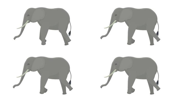 大象动物的动画儿童动画大象丛林动物大象