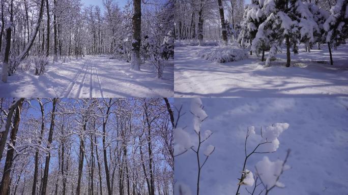 4K 公园雪景