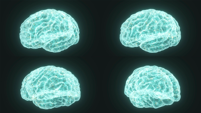 AI科技智慧大脑视频