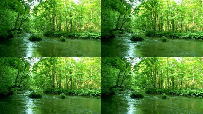 深林绿溪山林溪水河流原始森林山泉