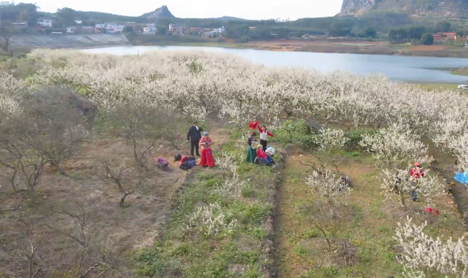 乡村旅游休闲-乡村振兴