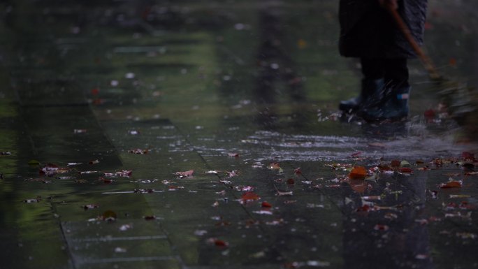 江南浙江春雨雨天环卫工扫落叶香樟树人行道