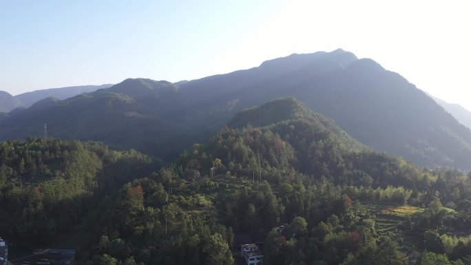 浙江绍兴诸暨市香榧林景区