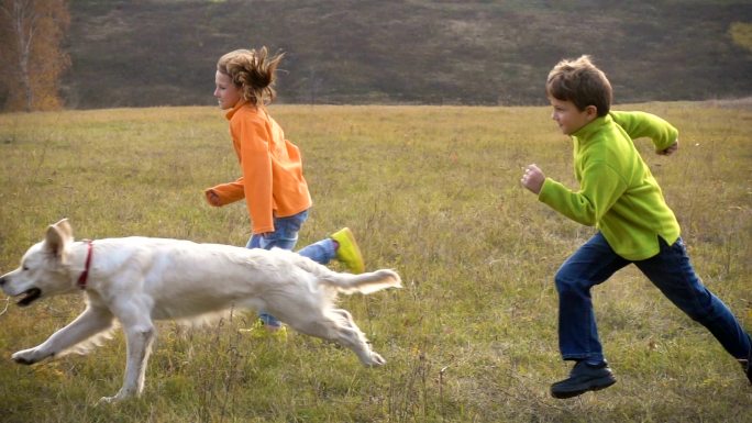 两个孩子和金毛寻回犬在野外奔跑