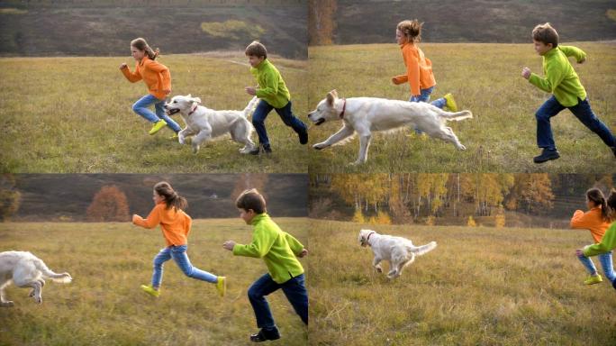两个孩子和金毛寻回犬在野外奔跑