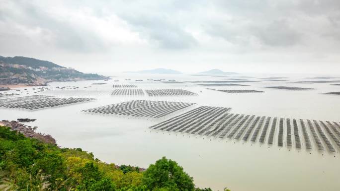 中国海藻养殖场的时间推移