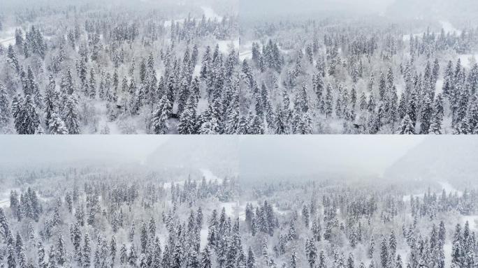 降雪期间的冬季雪林鸟瞰图