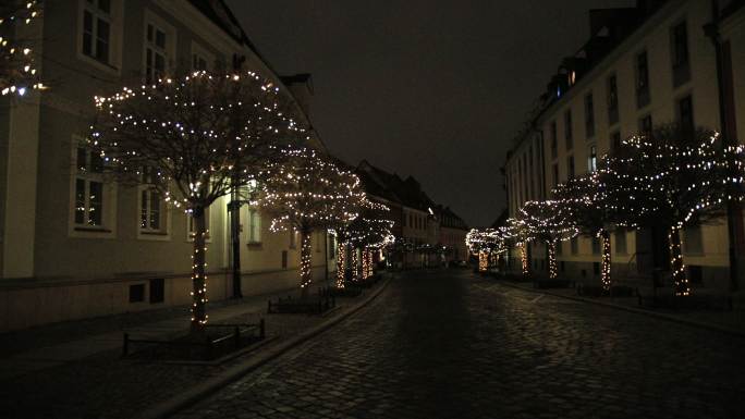 夜晚的街道，人行道上装饰着彩灯的树木。