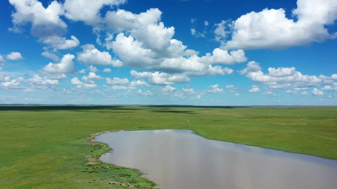 【原创】4K内蒙锡林郭勒盟草原湿地航拍