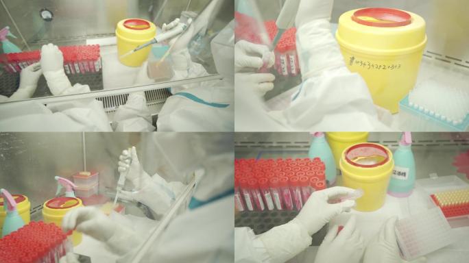 PCR实验室三级防护核酸检测实验室内景