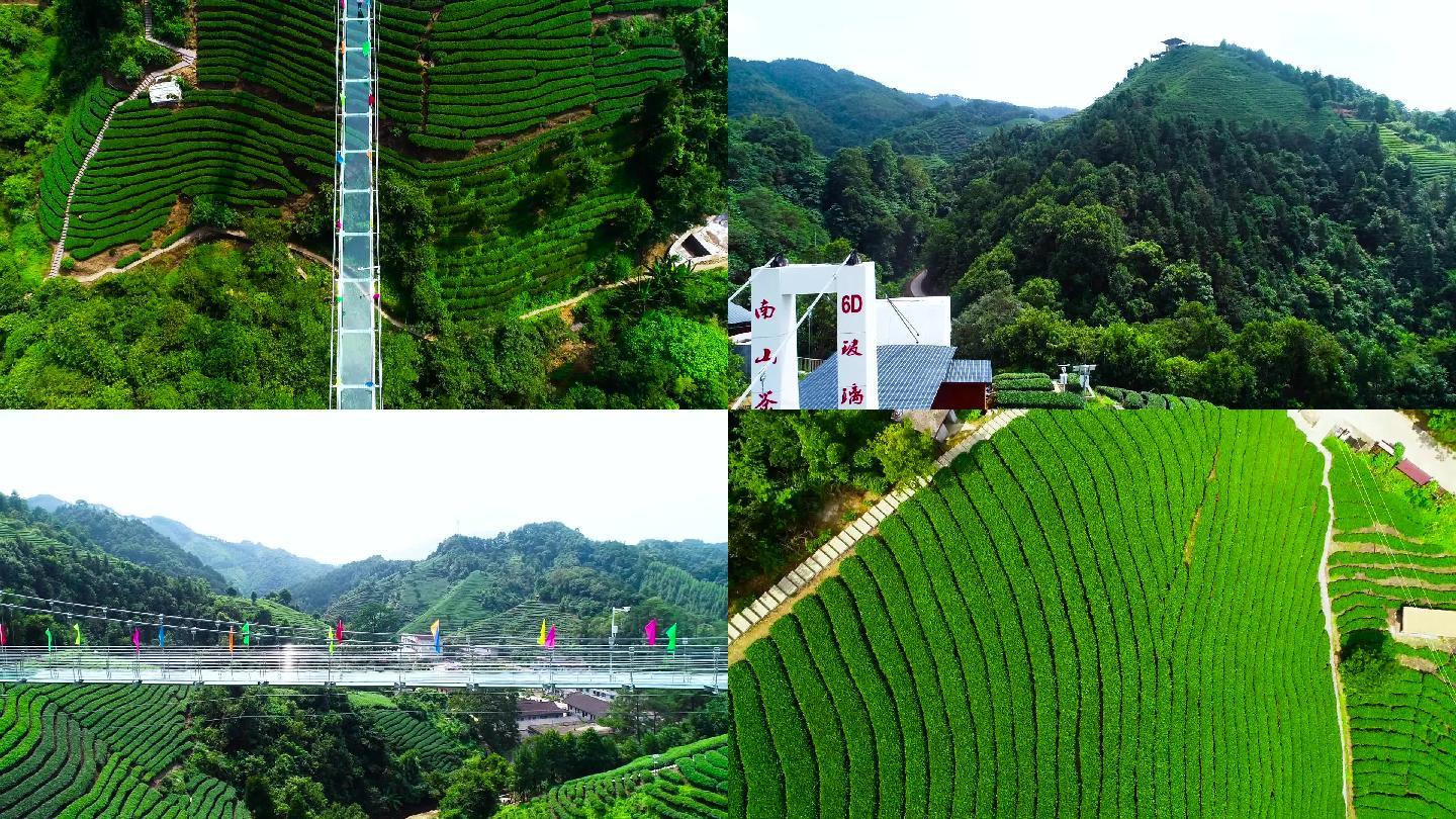 南山茶海 昭平南山茶海 茶园基地 玻璃桥