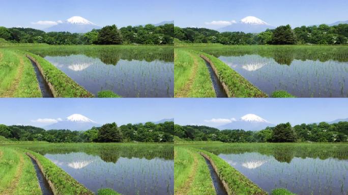 倒转的富士山和水田里倒映的运河