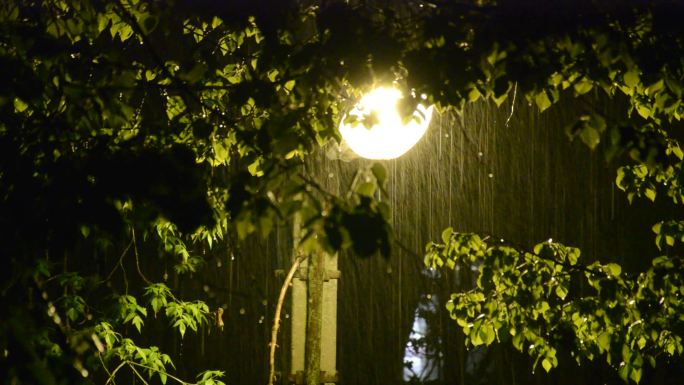 雨中路灯照亮树叶街景雨中景色雨夜风景