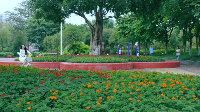 4k  花园城市  美丽城市  公园