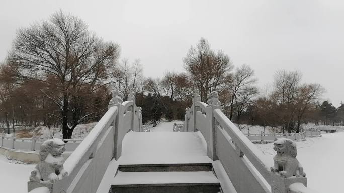 冬季公园雪景