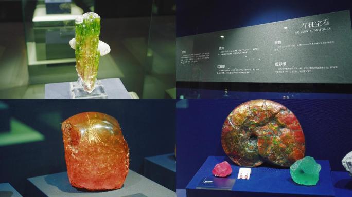 矿物石水晶宝藏博物馆c