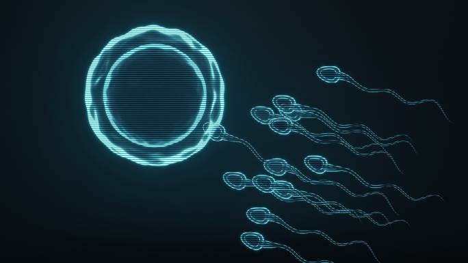 全息影像精子与卵细胞3D渲染