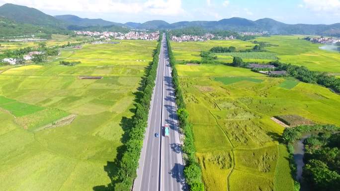 高清航拍公路贯穿水稻