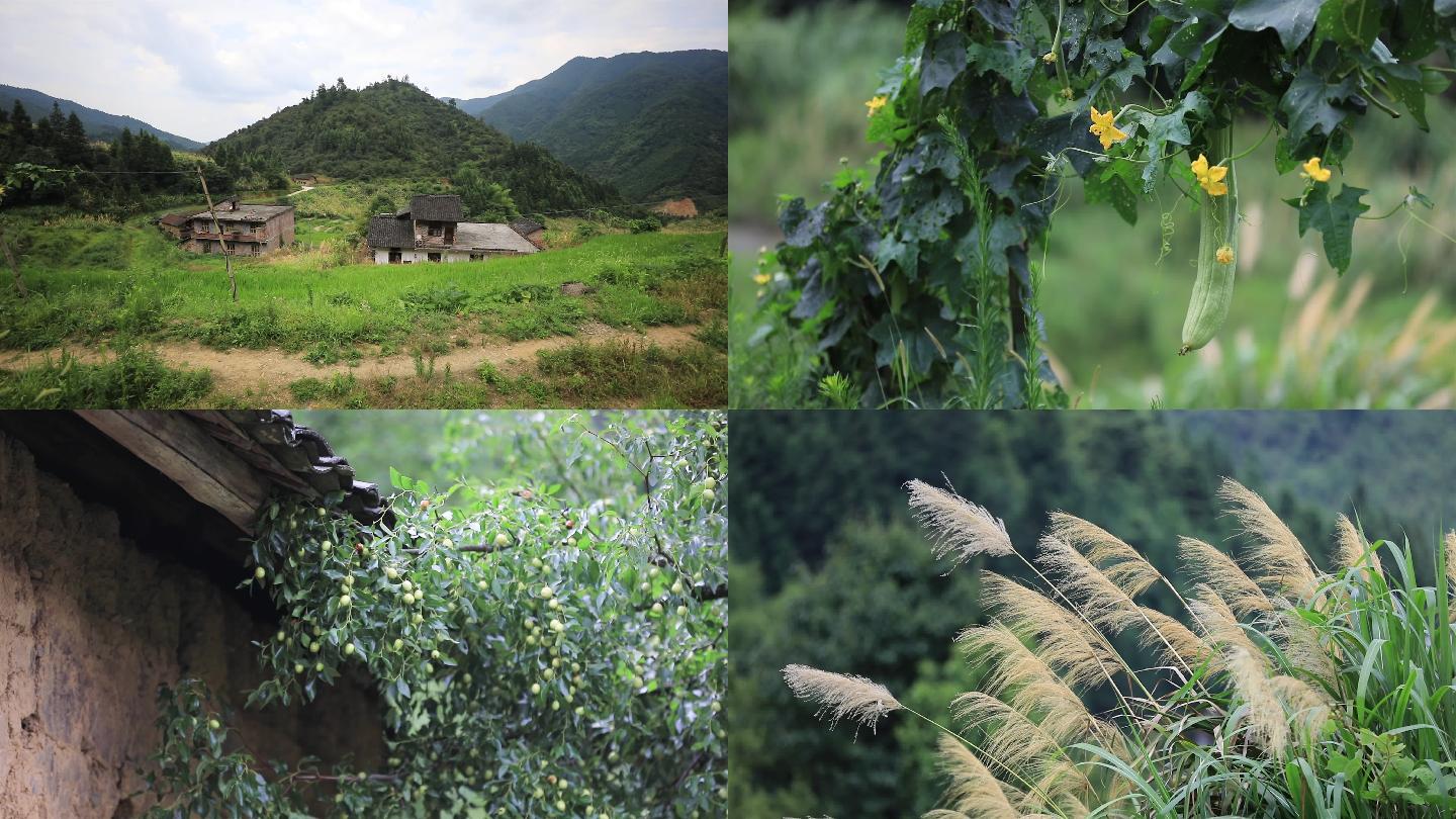 山村空镜头