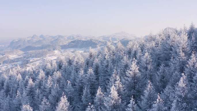 4k航拍恩施雪山雾凇合辑风光