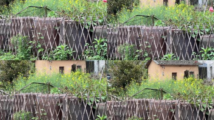 广西南宁市上林鼓鸣寨