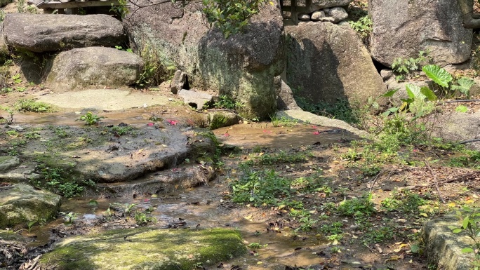 春天上林鼓鸣寨乡村里叠石广场上的涓涓细流