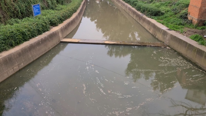 官渡区老宝象河小板桥河段水污染4K