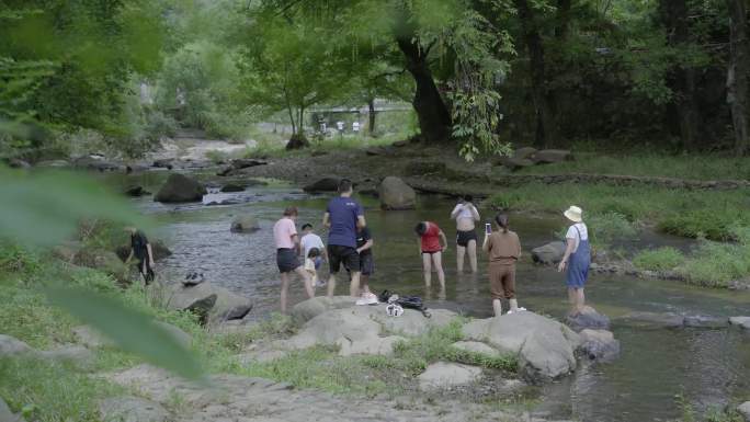 4K孩子在小河里蹚水玩山村小溪温馨快乐
