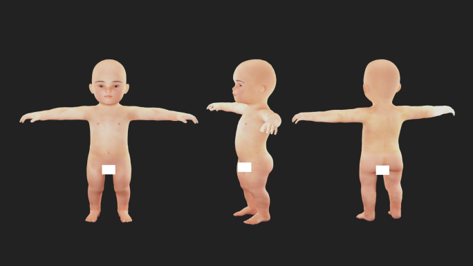 婴儿人体模型 动画模型